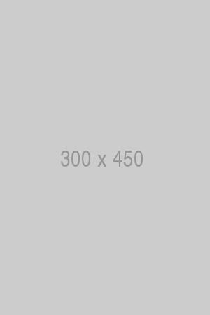 litho-300×450-ph.jpg