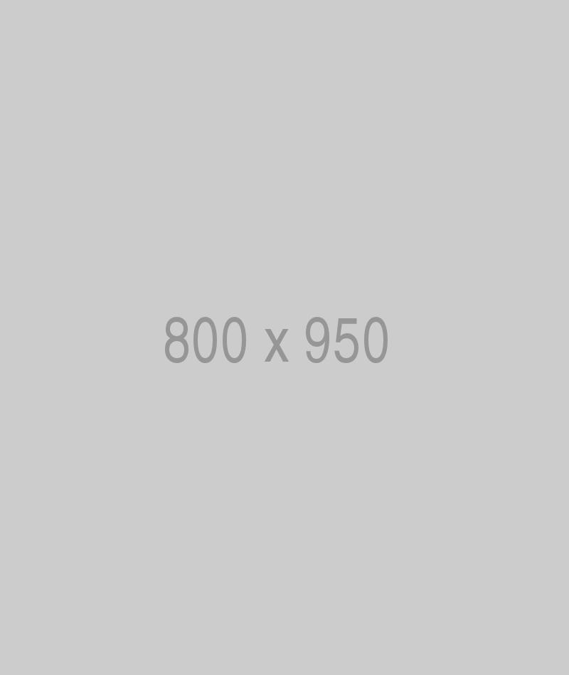 litho-800×950-ph.jpg